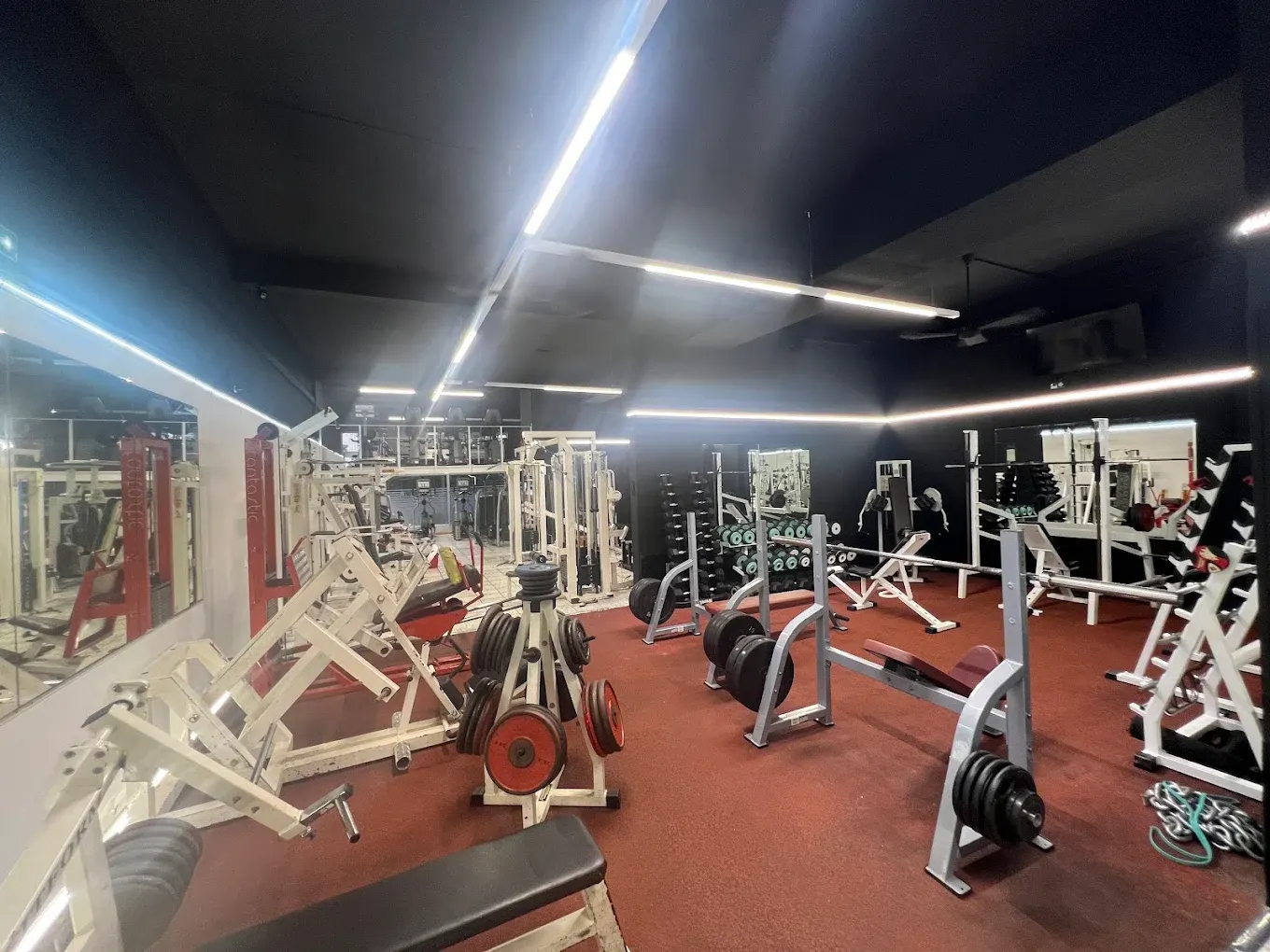 Plateau charges libres : racks, bancs, disques